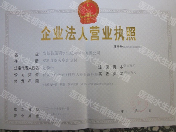 營業(yè)執(zhí)照